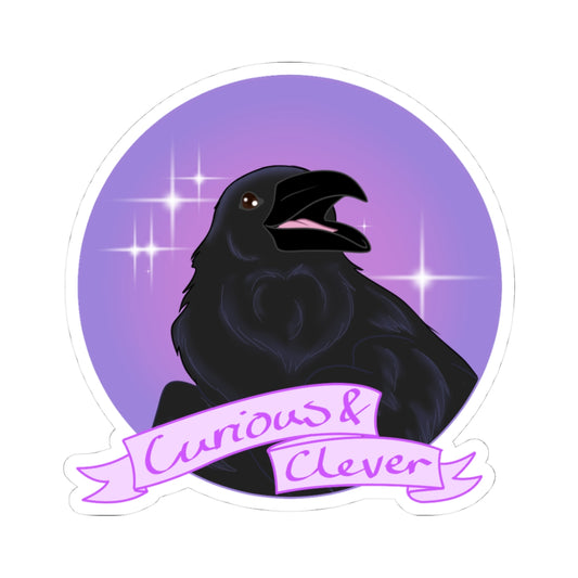 "Curious & Clever" Raven Sticker
